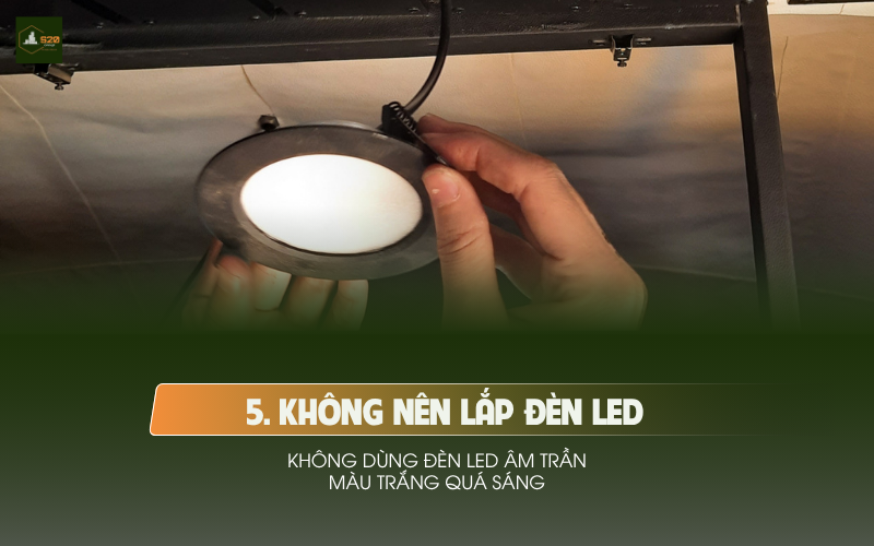 Phòng ngủ người lớn tuổi với ánh sáng ấm áp dễ chịu
